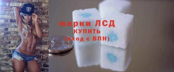 трава Гвардейск