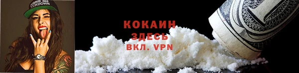 трава Гвардейск