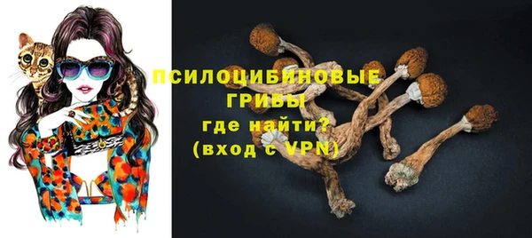 герыч Протвино