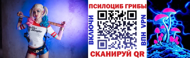 ОМГ ОМГ зеркало  Спас-Клепики  Галлюциногенные грибы Magic Shrooms 